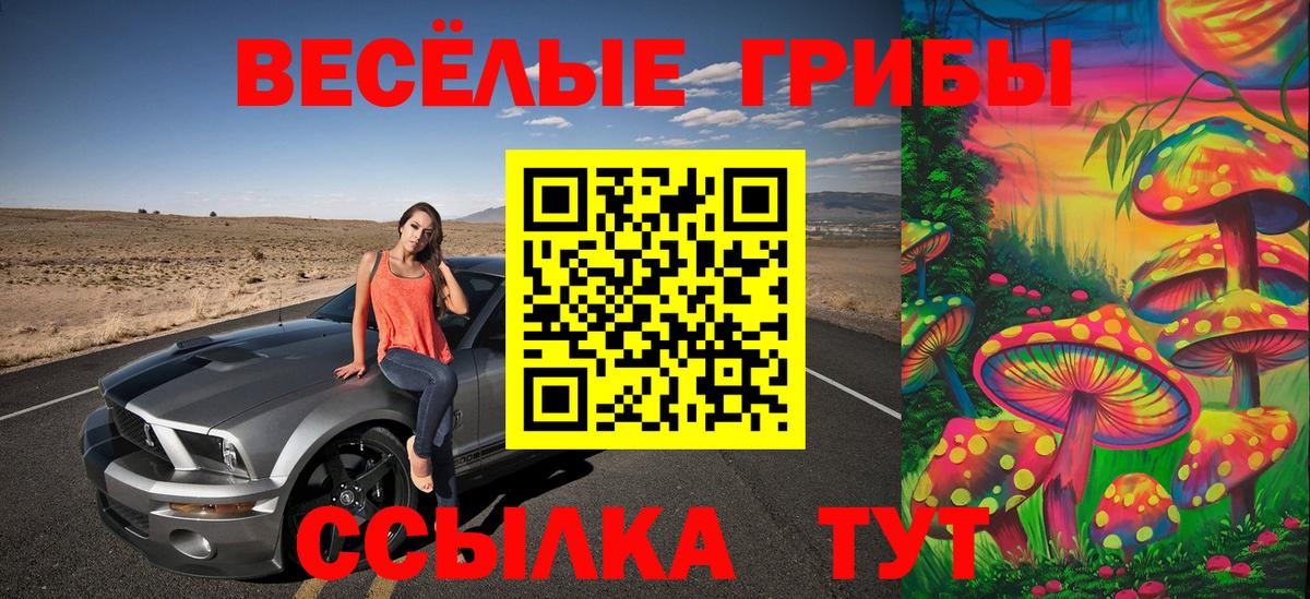 Полевской  Галлюциногенные грибы GOLDEN TEACHER  Вход с VPN 