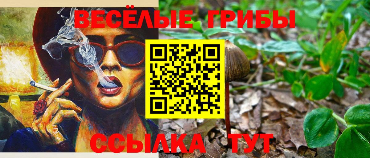 Галлюциногенные грибы GOLDEN TEACHER Полевской